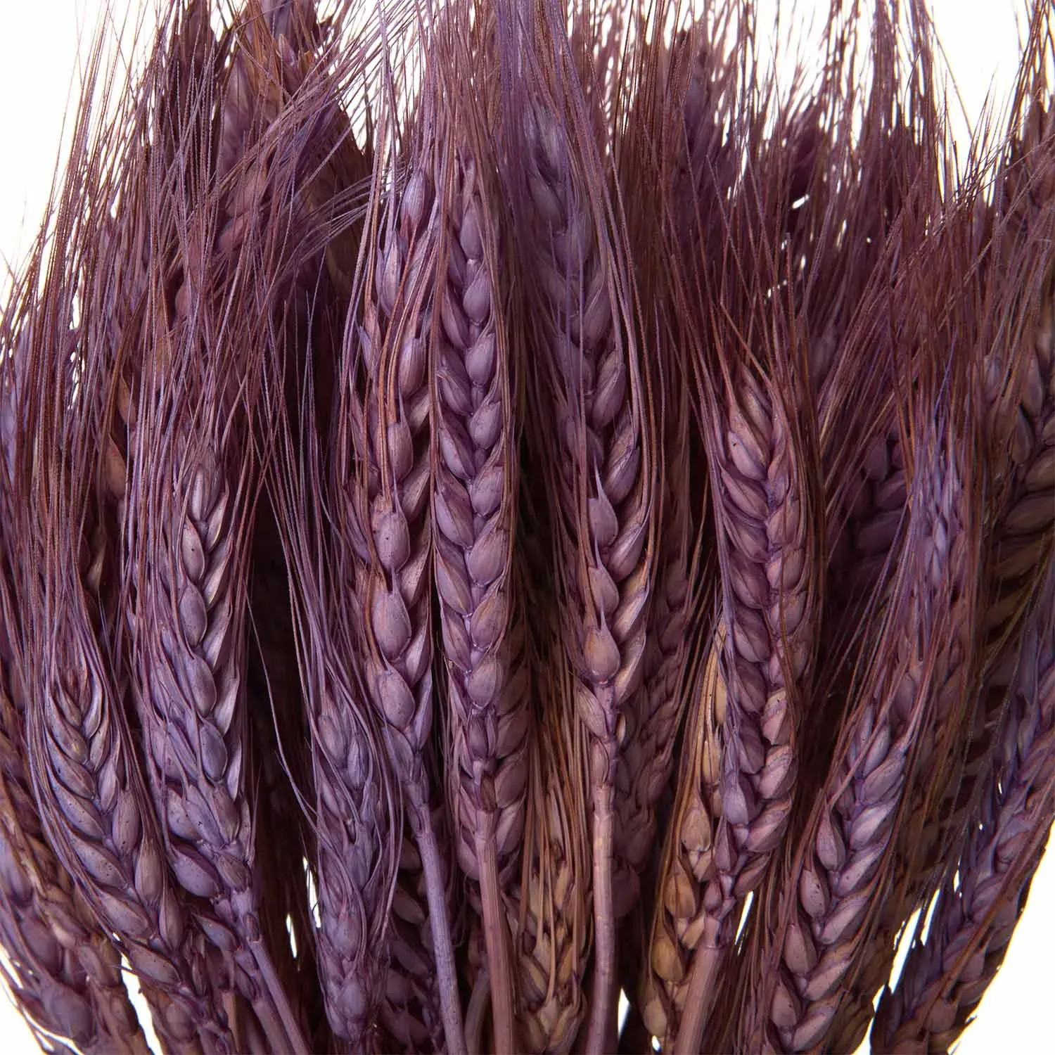 Flori uscate, spice lilac de grâu 120 grame photo 2