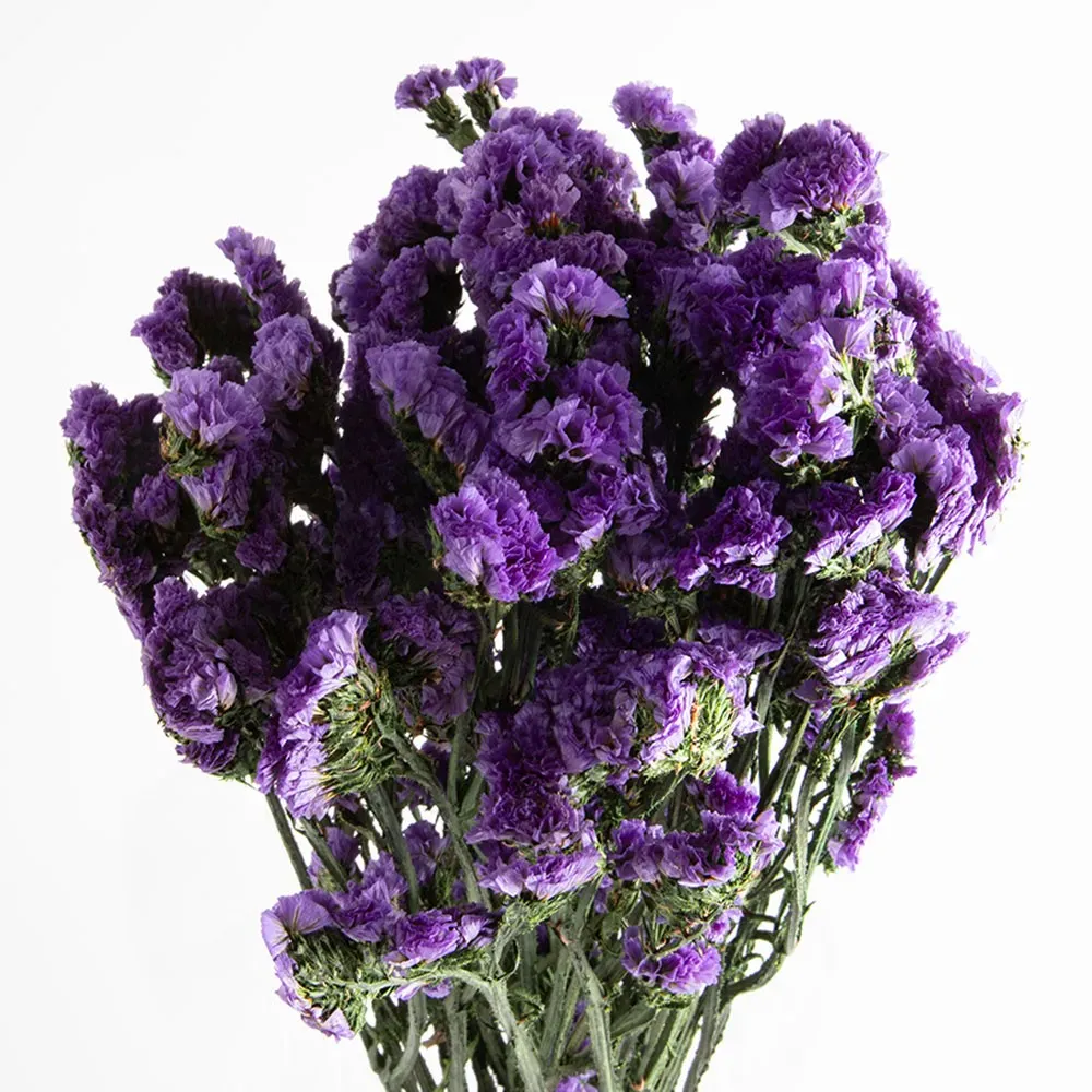Flori uscate statice, Kermek, liliac, 135 grame
