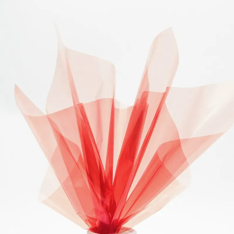 Celofan translucid „Glossy” #011