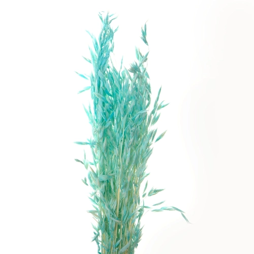 Flori de ovaz uscate, Albastru deschis, 60 grame