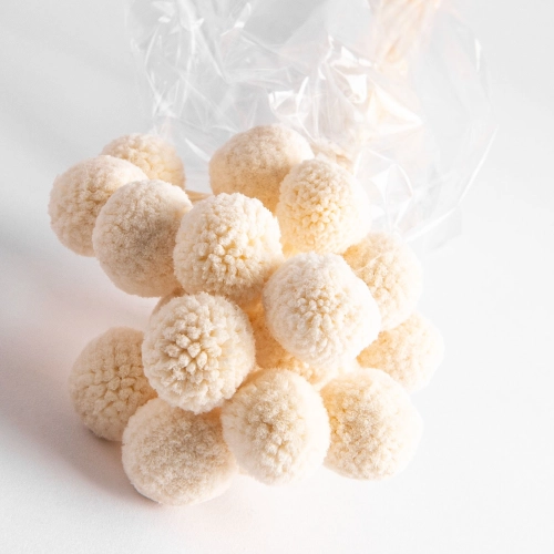 Flori uscate de craspedia, bej, 20 capete, 55 grame