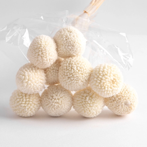 Flori uscate de Craspedia, bej, 10 capete, 65 grame