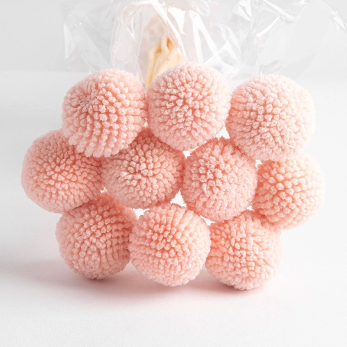 Flori uscate de craspedia, roz, 10 capete, 65 grame