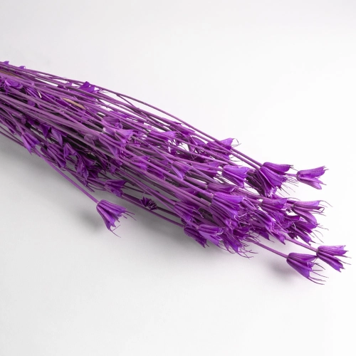 Flori uscate Nigella, liliac, 65 grame