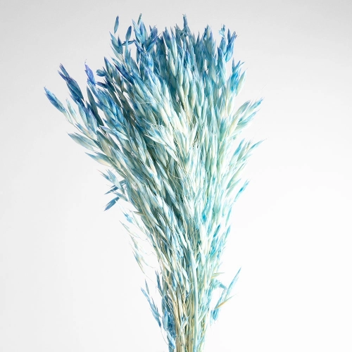 Flori de ovaz uscate, albastre, 60 grame