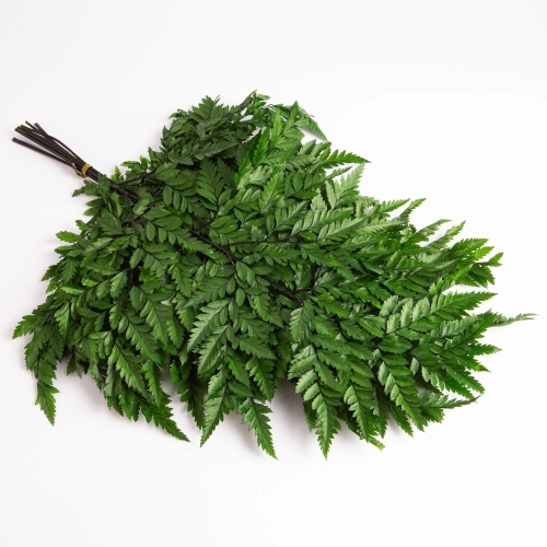 Flori uscate, verzi, 65 grame