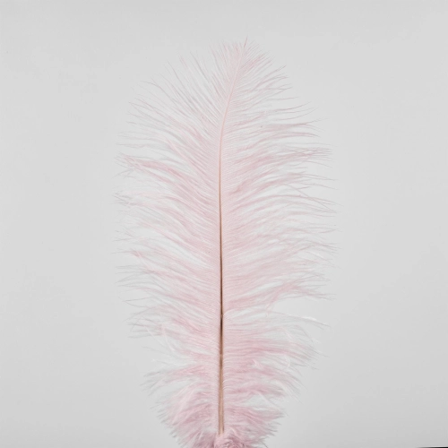 Pene de strut, 50 buc, 25 cm, roz deschis