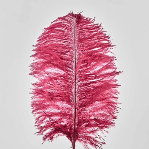 Pene de strut, 50 buc, 20 cm, rosu