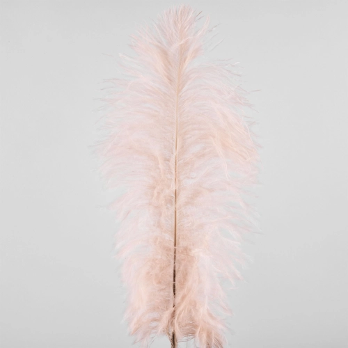 Pene de strut, 50 buc, 20 cm, piersic