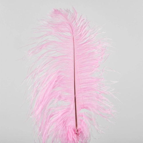 Pene de strut, 50 buc, 20 cm, roz