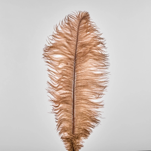 Pene de strut, 50 buc, 20 cm, bronz