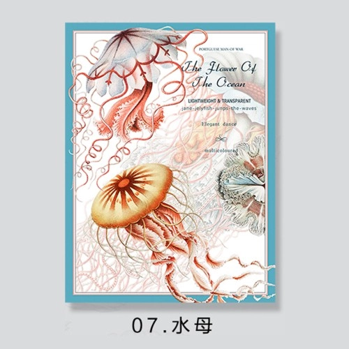 Hârtie de ambalaj cadou "Bloomy", 85g, #07
