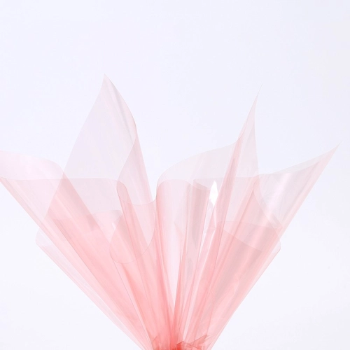 Celofan translucid „Glossy” #169